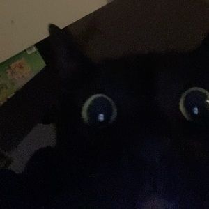 Meet your Posher, Alyson